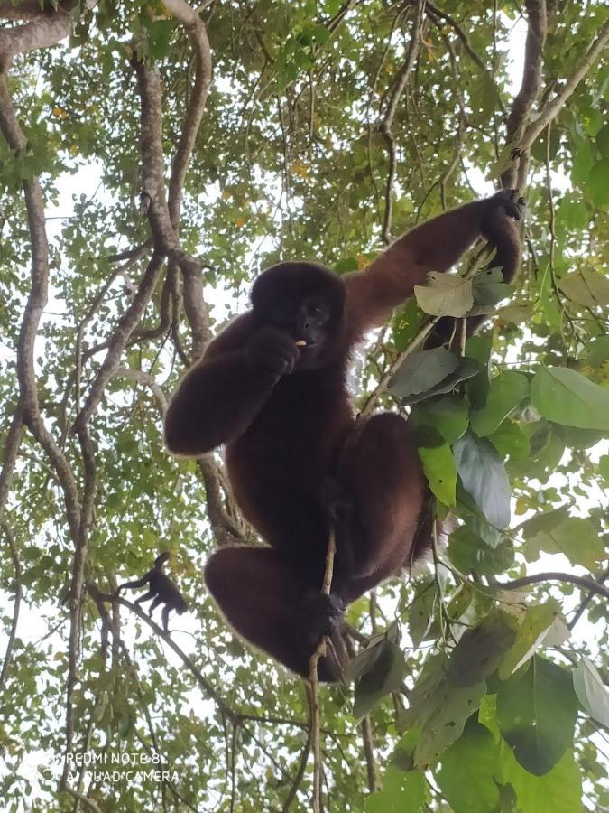 Jacamar Lodge Expeditions Iquitos Zewnętrze zdjęcie