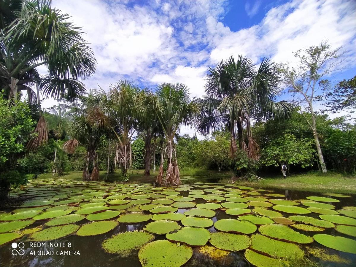 Jacamar Lodge Expeditions Iquitos Zewnętrze zdjęcie
