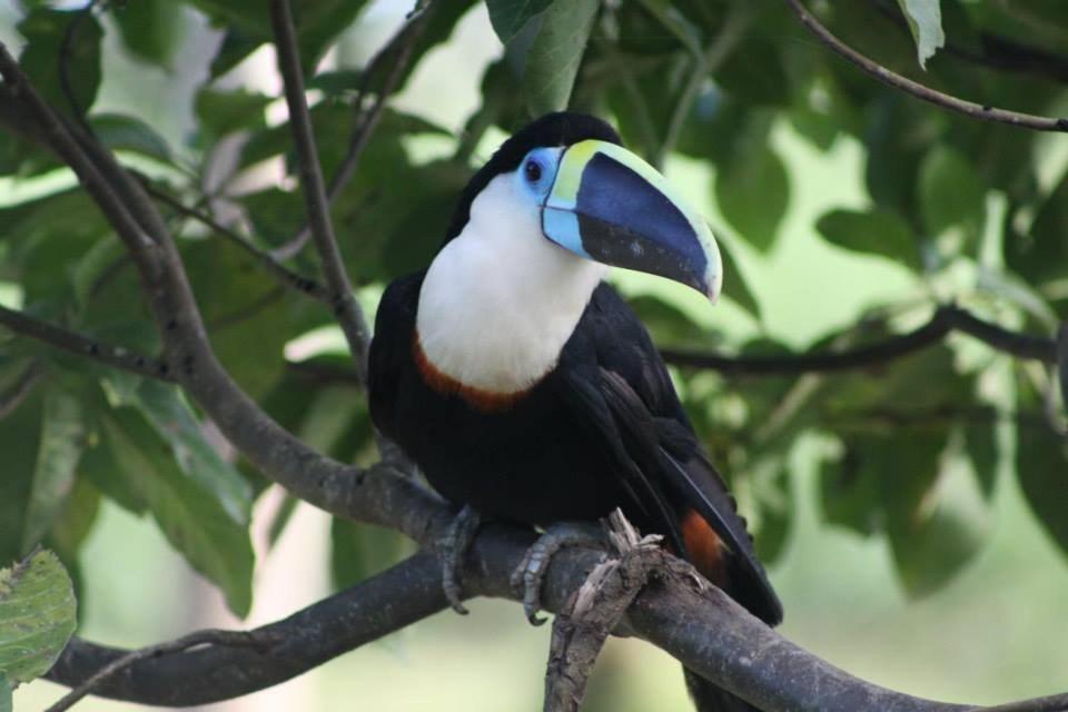 Jacamar Lodge Expeditions Iquitos Zewnętrze zdjęcie